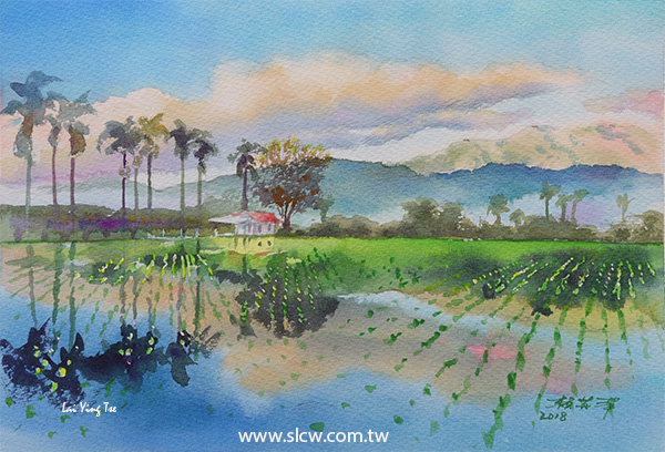 花東水田_Huatung rice field